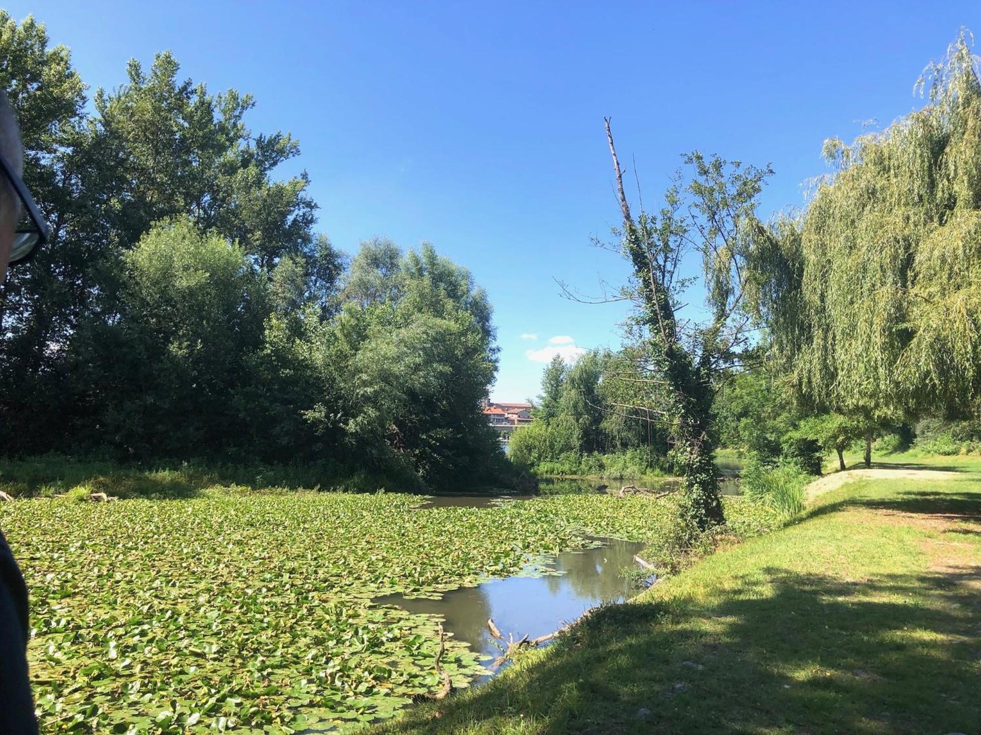 Beautiful Village House Next To Garonne River! Couladere 외부 사진