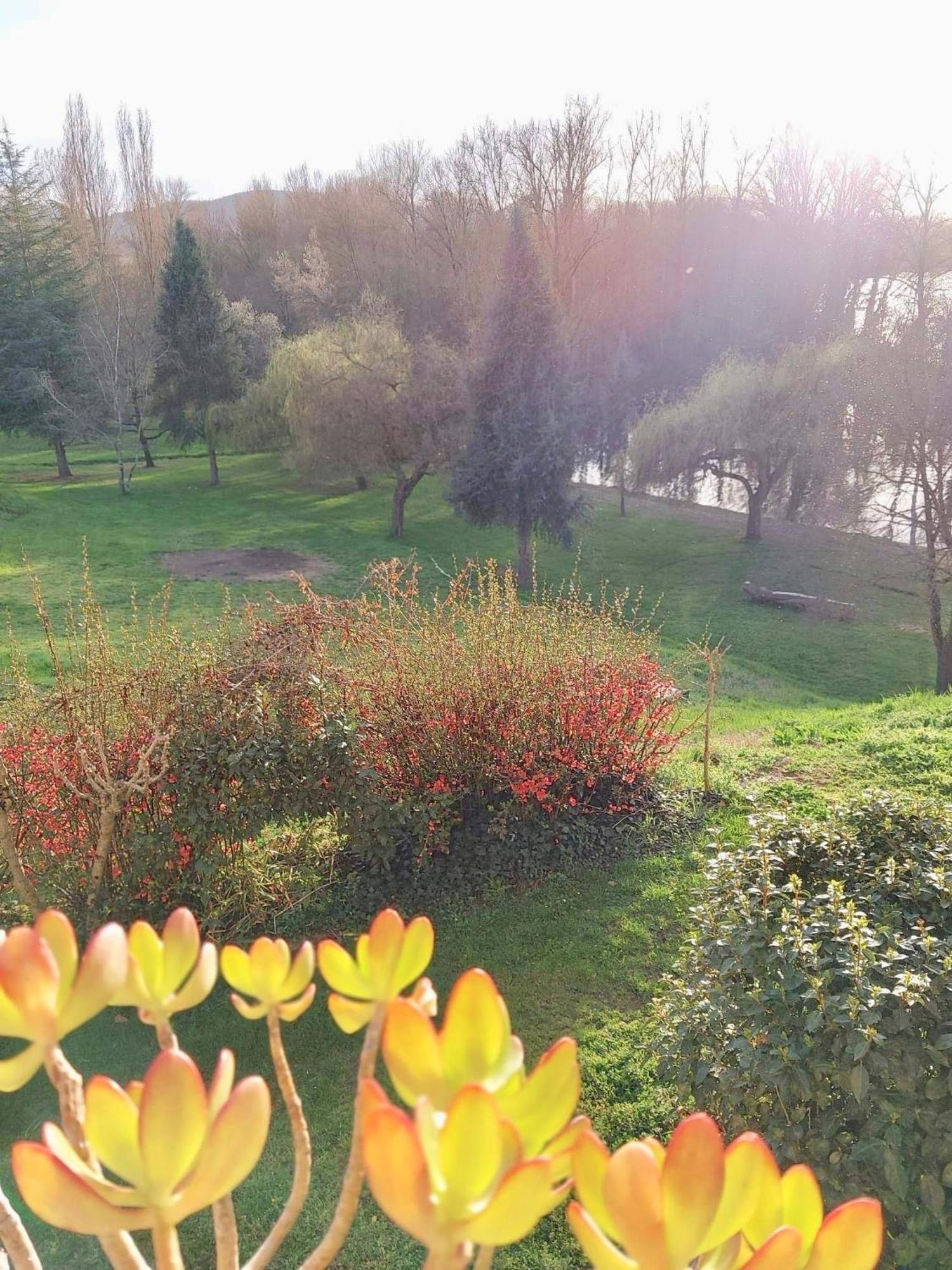 Beautiful Village House Next To Garonne River! Couladere 외부 사진